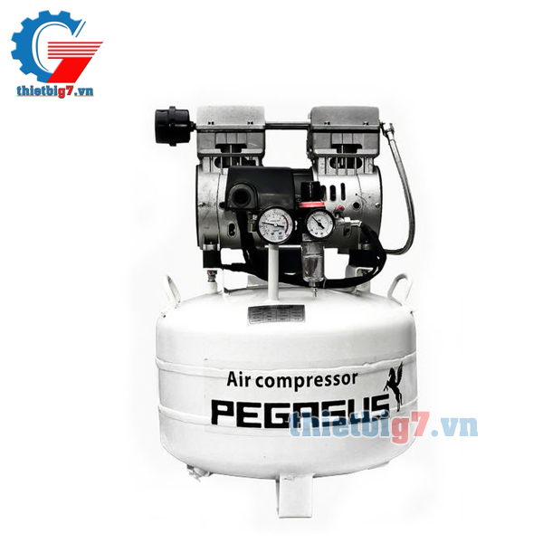 may-bom-hoi-khong-dau-giam-am-pegasus-1hp-40l