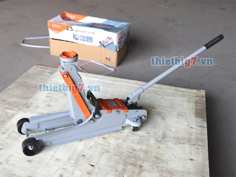 Tổng hợp thông tin về kích đội cá sấu