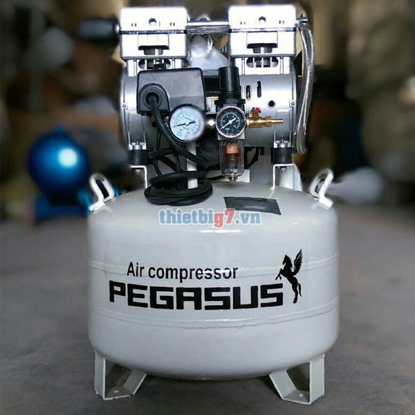 Giới Thiệu Máy Nén Khí Không Dầu Giảm Âm Pegasus Giá Rẻ