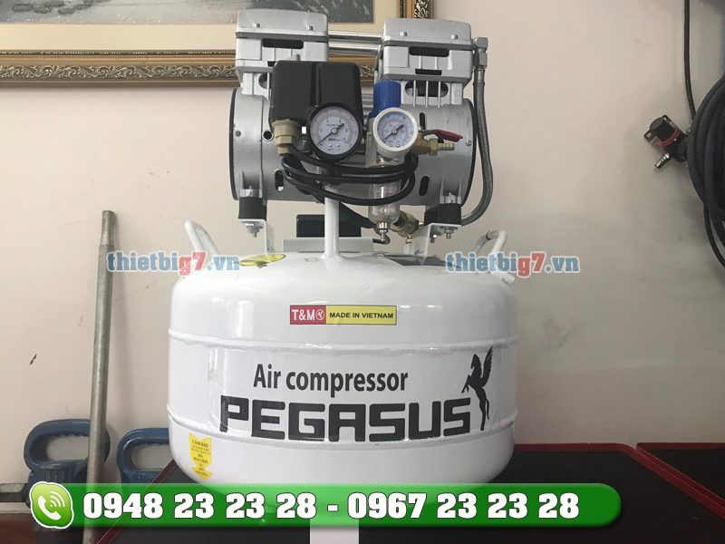máy nén khí Pegasus